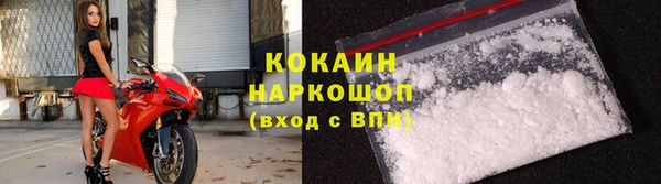 apvp Вяземский