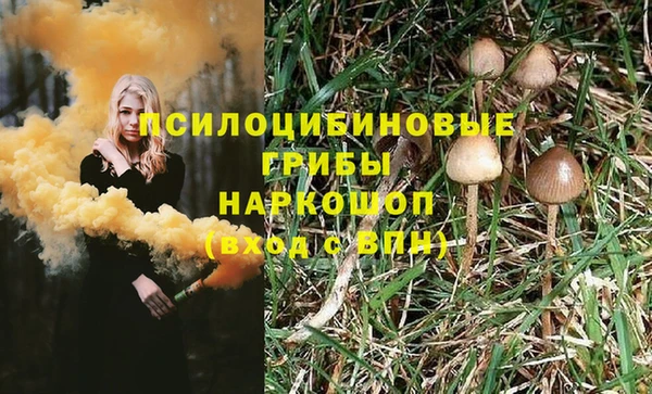 PSILOCYBIN Волоколамск