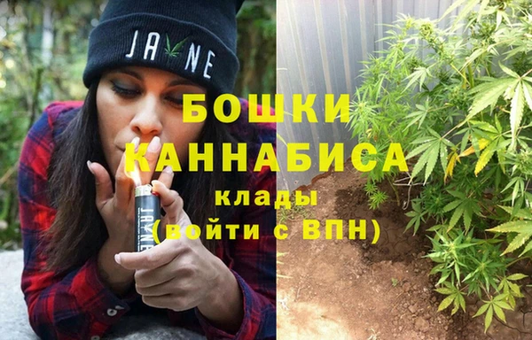 PSILOCYBIN Волоколамск