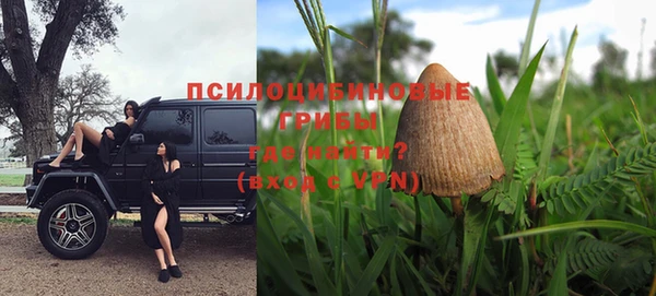 PSILOCYBIN Волоколамск