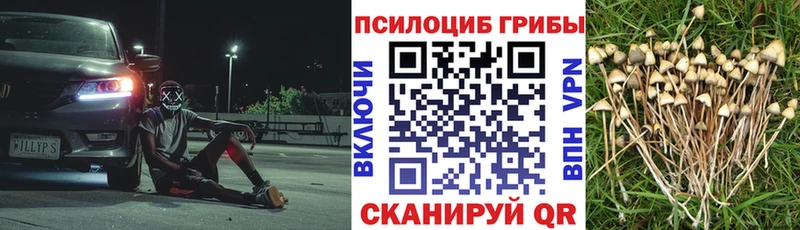 Псилоцибиновые грибы Magic Shrooms  Купить где  Майский 